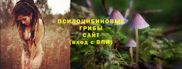 jwh Верея