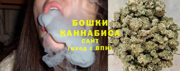 соль ск Верхний Тагил