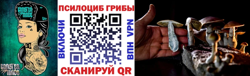 Купить где  Окуловка  Псилоцибиновые грибы прущие грибы 